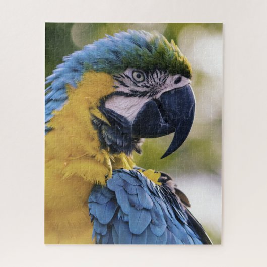 Macaw Parrot Profiel Portret Foto Legpuzzel (Verticaal)