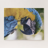 Macaw Parrot Profiel Portret Foto Legpuzzel (Horizontaal)