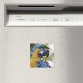 Macaw Parrot Profiel Portret Foto Magneet (Insitu (Vaatwasser))