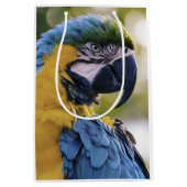 Macaw Parrot Profiel Portret Foto Medium Cadeauzakje (Voorkant)