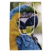Macaw Parrot Profiel Portret Foto Medium Cadeauzakje (Achterkant)