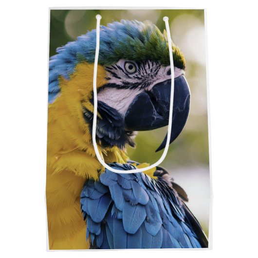 Macaw Parrot Profiel Portret Foto Medium Cadeauzakje (Achterkant)