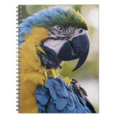 Macaw Parrot Profiel Portret Foto Notitieboek (Voorkant)