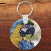 Macaw Parrot Profiel Portret Foto Sleutelhanger (Voorkant)