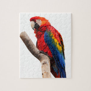 Macaw Parrot Puzzle Legpuzzel