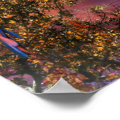 MACAW PARROT RAIN FOREST OUTPOST POSTER (Hoek)