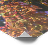 MACAW PARROT RAIN FOREST OUTPOST POSTER (Hoek)