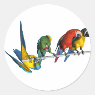 Macaw Parrot Ronde Sticker