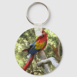 Macaw Parrot Sleutelhanger