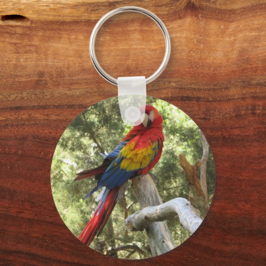 Macaw Parrot Sleutelhanger (Voorkant)