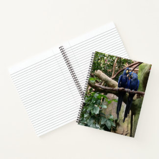Macaw Parrot Spiral Notitieboek