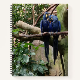 Macaw Parrot Spiral Notitieboek