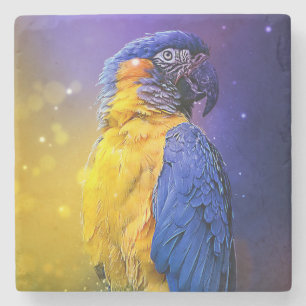 Macaw Parrot Stenen Onderzetter