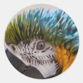 Macaw Parrot - Sticker (Voorkant)