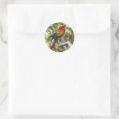 Macaw Parrot Sticker (Tas)