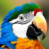 Macaw Parrot T-Shirt