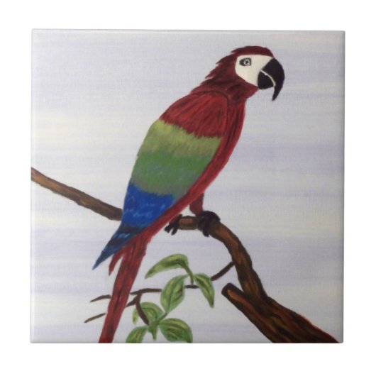 Macaw Parrot Tegeltje (Voorkant)