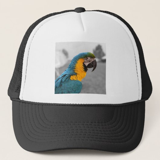 Macaw Parrot Trucker Pet (Voorkant)