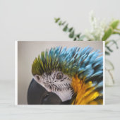Macaw Parrot - Uitnodiging (Staand voorkant)