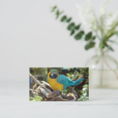 Macaw Parrot Visitekaartje (Staand voorkant)