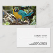 Macaw Parrot Visitekaartje (Voorkant / Achterkant)