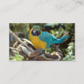 Macaw Parrot Visitekaartje (Voorkant)