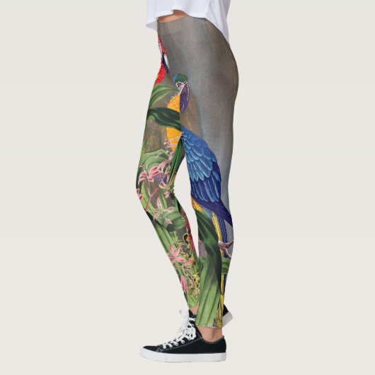 Macaw Parrot-vogel over de Leggings (Links)