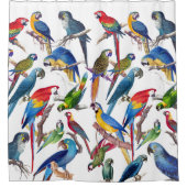 Macaw Parrot Vogeldieren Dierlijke wildklemmen Douchegordijn (Voorkant)