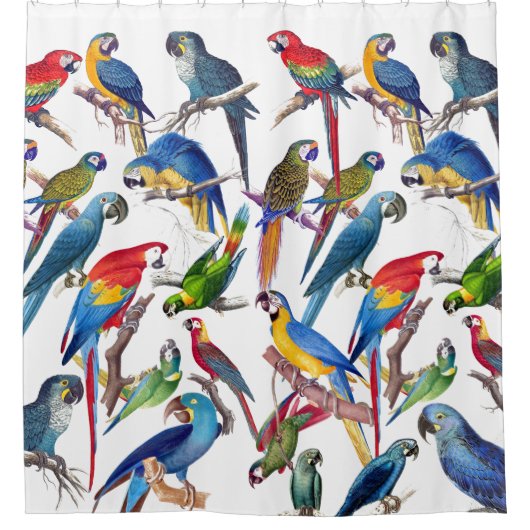 Macaw Parrot Vogeldieren Dierlijke wildklemmen Douchegordijn (Voorkant)