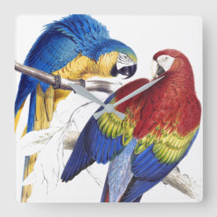 Macaw Parrot Vogels Wilde dieren Muurklok Vierkante Klok