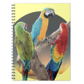 Macaw Parrots Notitieboek (Voorkant)