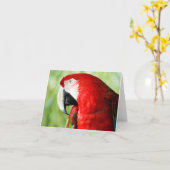 Macaw Portrait Kaart (Gele Bloem)