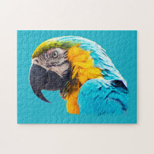 Macaw portret op een turkooisachtergrond legpuzzel
