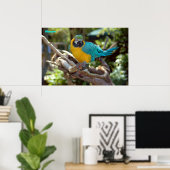 Macaw Poster (Thuiskantoor)