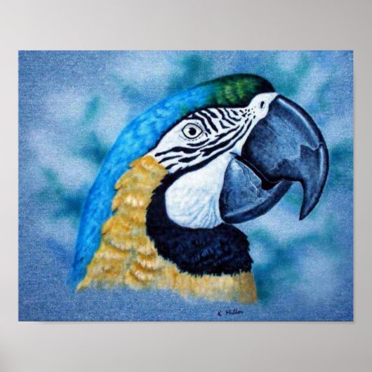 Macaw Poster (Voorkant)
