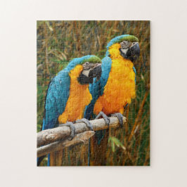 Macaw Puzzle Legpuzzel