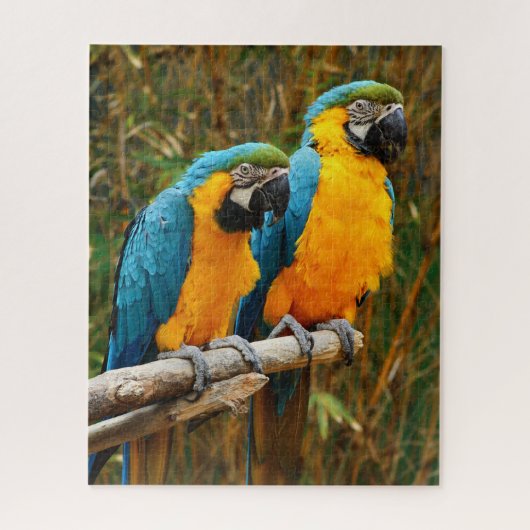Macaw Puzzle Legpuzzel (Verticaal)