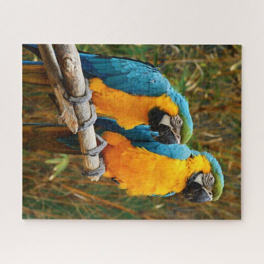 Macaw Puzzle Legpuzzel (Horizontaal)