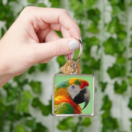 Macaw Sleutelhanger (Hand)