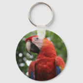 macaw sleutelhanger (Voorkant)