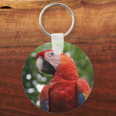 macaw sleutelhanger (Voorkant)