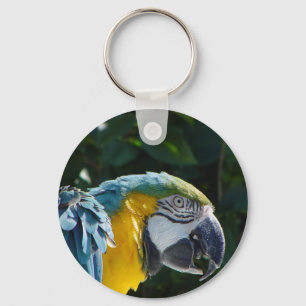 Macaw Sleutelhanger