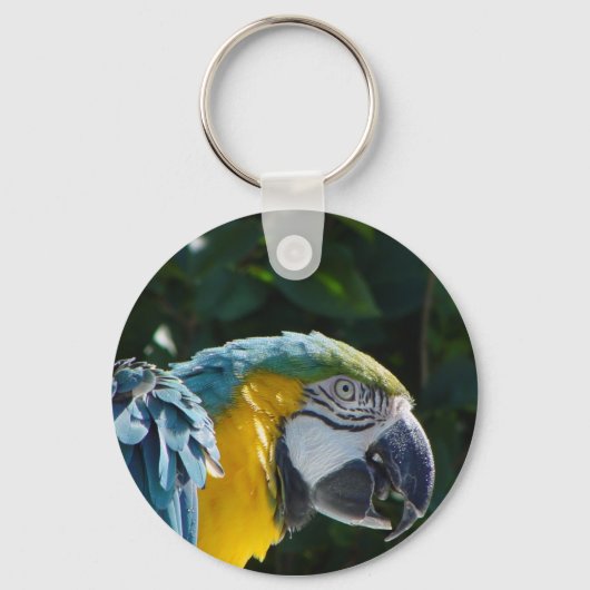 Macaw Sleutelhanger (Voorkant)