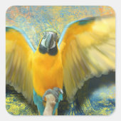 Macaw Square Sticker (Voorkant)