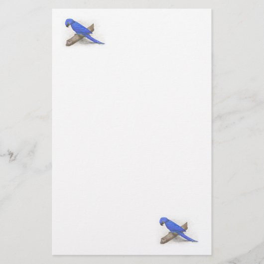 Macaw Stationery Briefpapier (Voorkant)