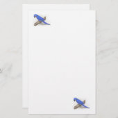 Macaw Stationery Briefpapier (Voorkant / Achterkant)