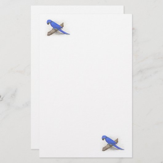 Macaw Stationery Briefpapier (Voorkant / Achterkant)