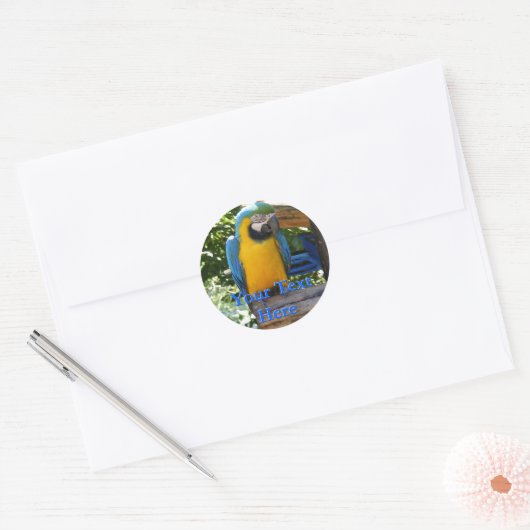 Macaw Stickers (Envelop)
