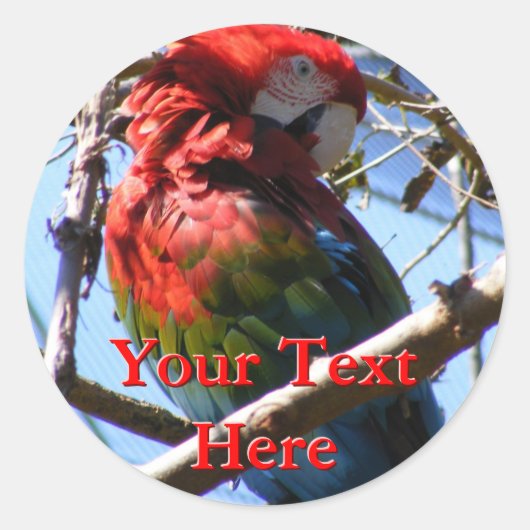 Macaw Stickers (Voorkant)