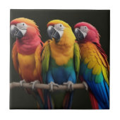 Macaw Tegeltje (Voorkant)